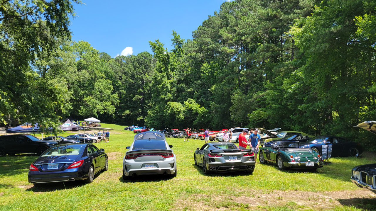 Motors 4 Minds The Drive to Cure Brain Diseases The Drive to Cure