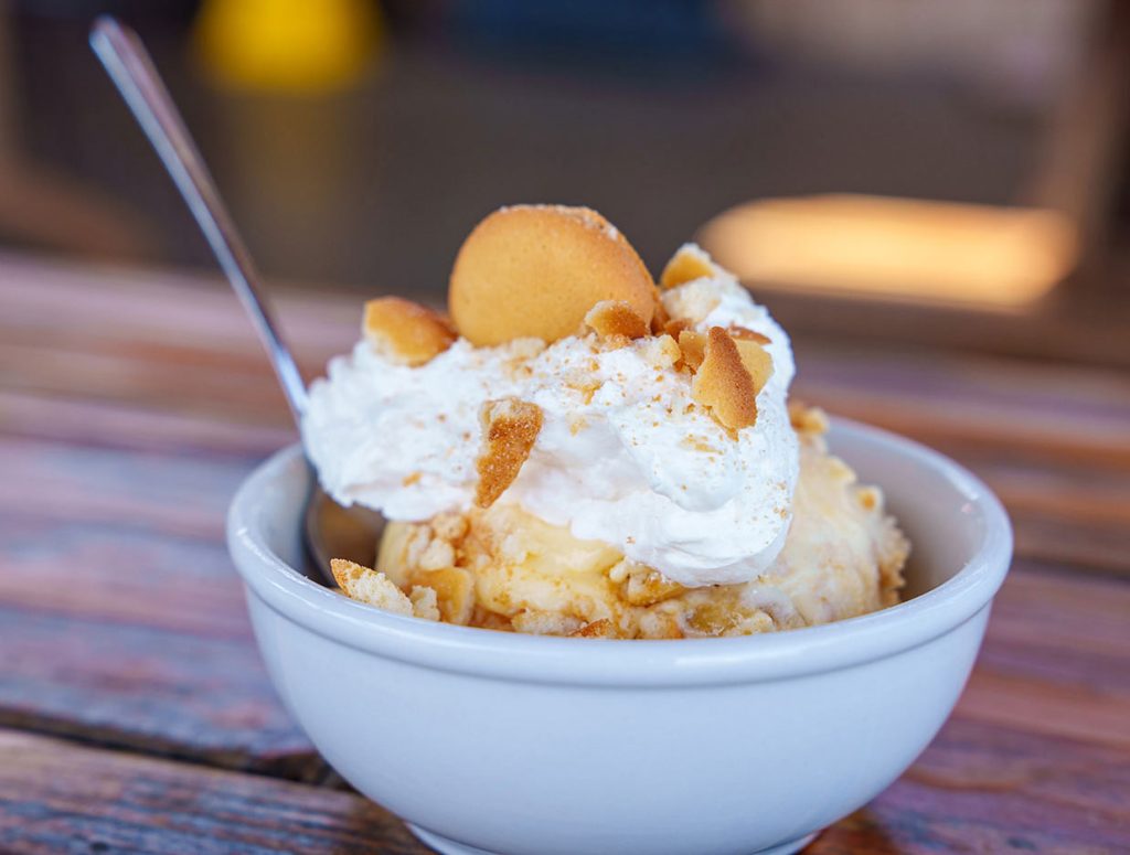 piknpig-nanner-puddin